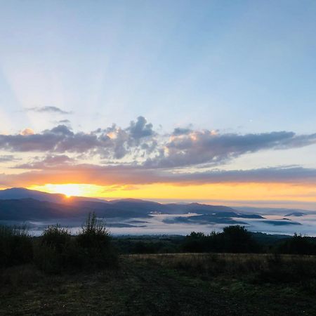 Еко Дім З Соломи Villa Solochin Dış mekan fotoğraf
