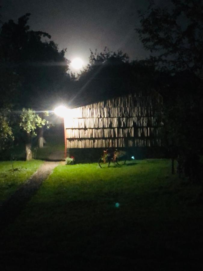 Еко Дім З Соломи Villa Solochin Dış mekan fotoğraf