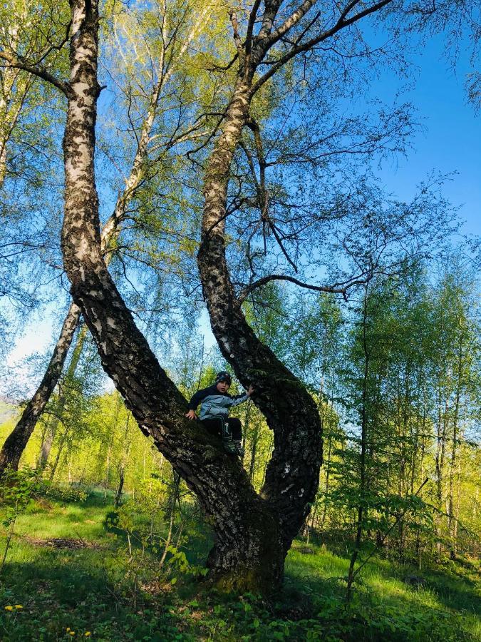 Еко Дім З Соломи Villa Solochin Dış mekan fotoğraf
