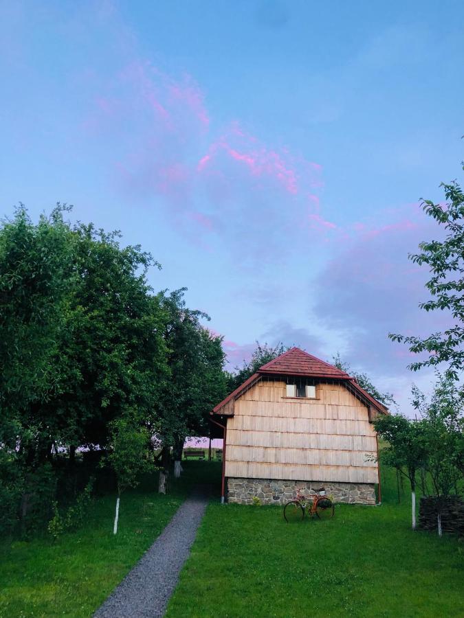 Еко Дім З Соломи Villa Solochin Dış mekan fotoğraf