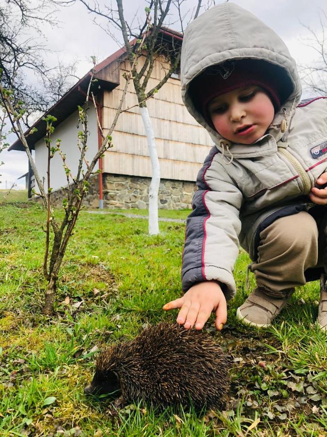 Еко Дім З Соломи Villa Solochin Dış mekan fotoğraf