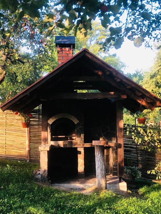 Еко Дім З Соломи Villa Solochin Dış mekan fotoğraf