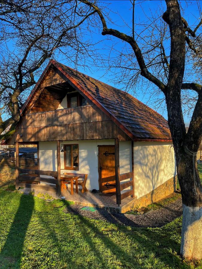 Еко Дім З Соломи Villa Solochin Dış mekan fotoğraf
