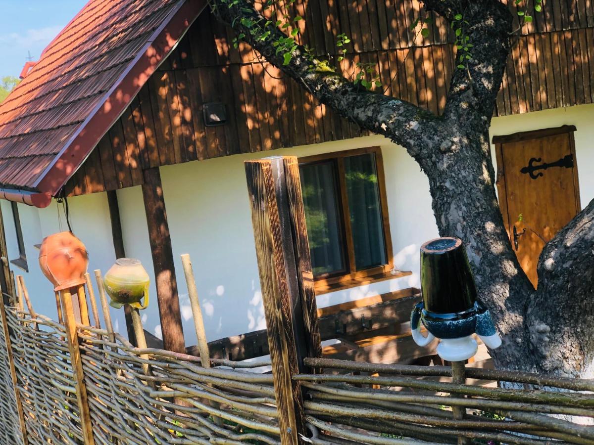 Еко Дім З Соломи Villa Solochin Dış mekan fotoğraf