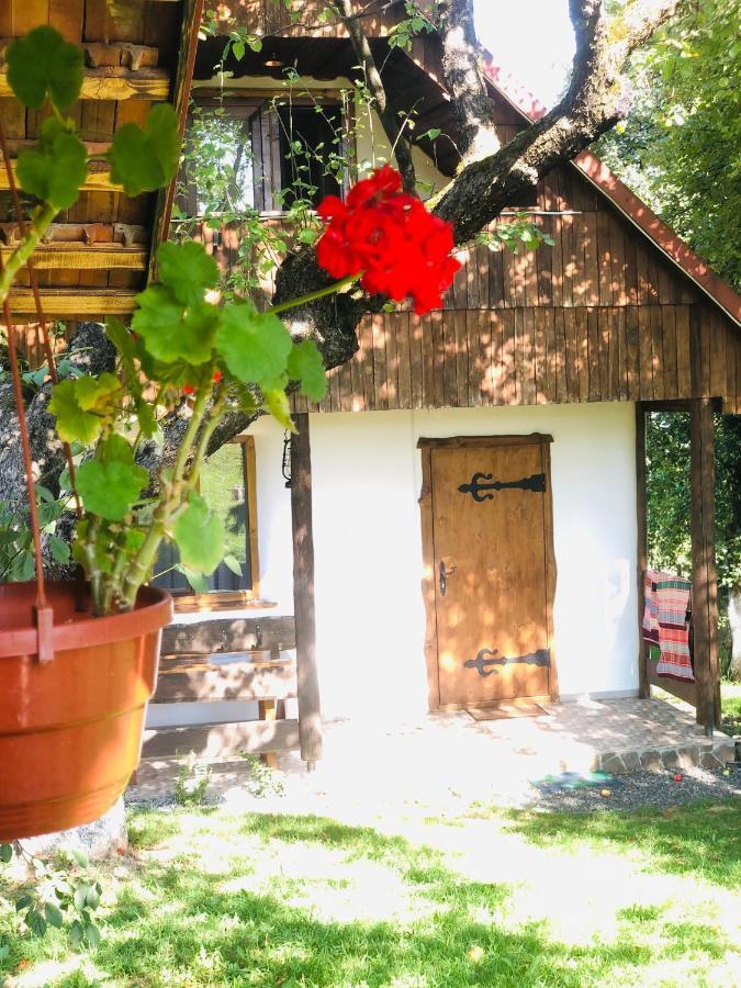 Еко Дім З Соломи Villa Solochin Dış mekan fotoğraf