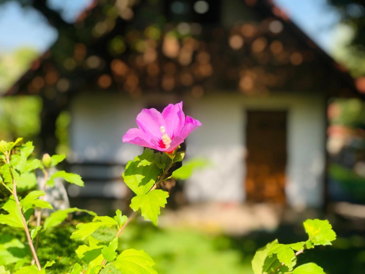 Еко Дім З Соломи Villa Solochin Dış mekan fotoğraf