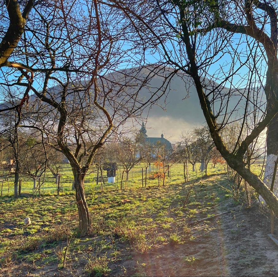 Еко Дім З Соломи Villa Solochin Dış mekan fotoğraf