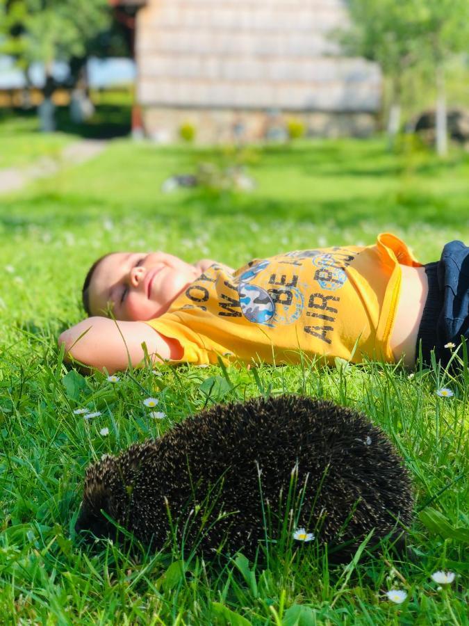 Еко Дім З Соломи Villa Solochin Dış mekan fotoğraf