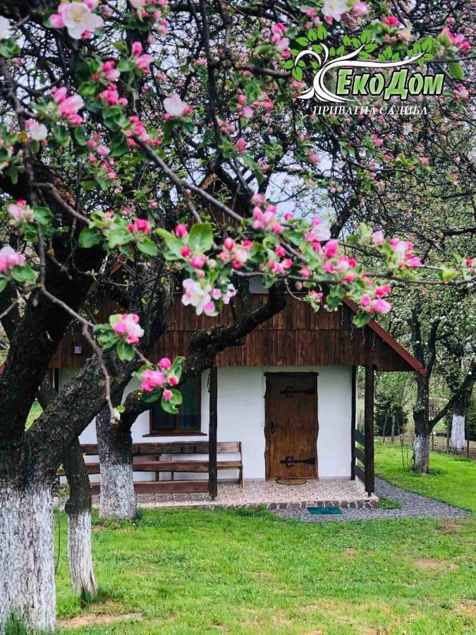 Еко Дім З Соломи Villa Solochin Dış mekan fotoğraf