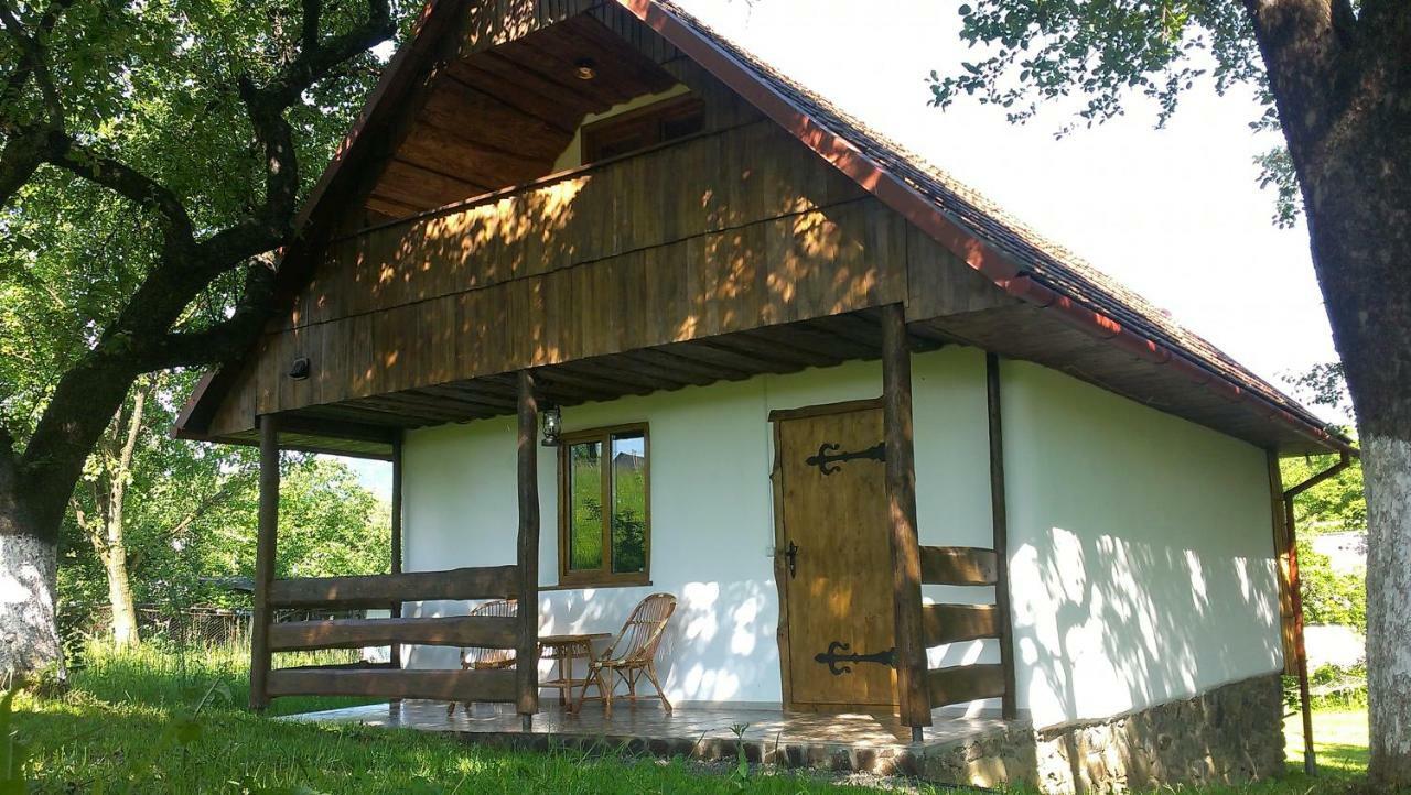 Еко Дім З Соломи Villa Solochin Dış mekan fotoğraf