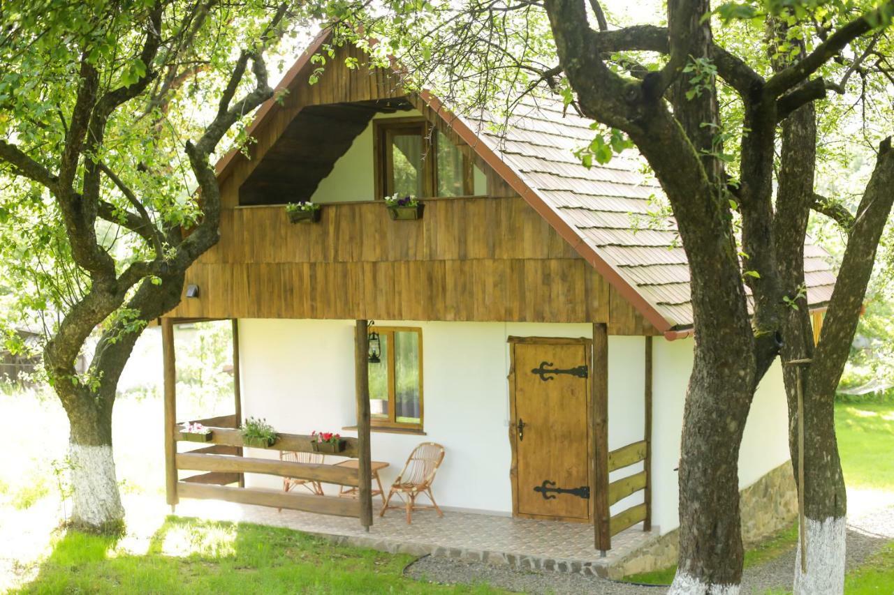 Еко Дім З Соломи Villa Solochin Dış mekan fotoğraf