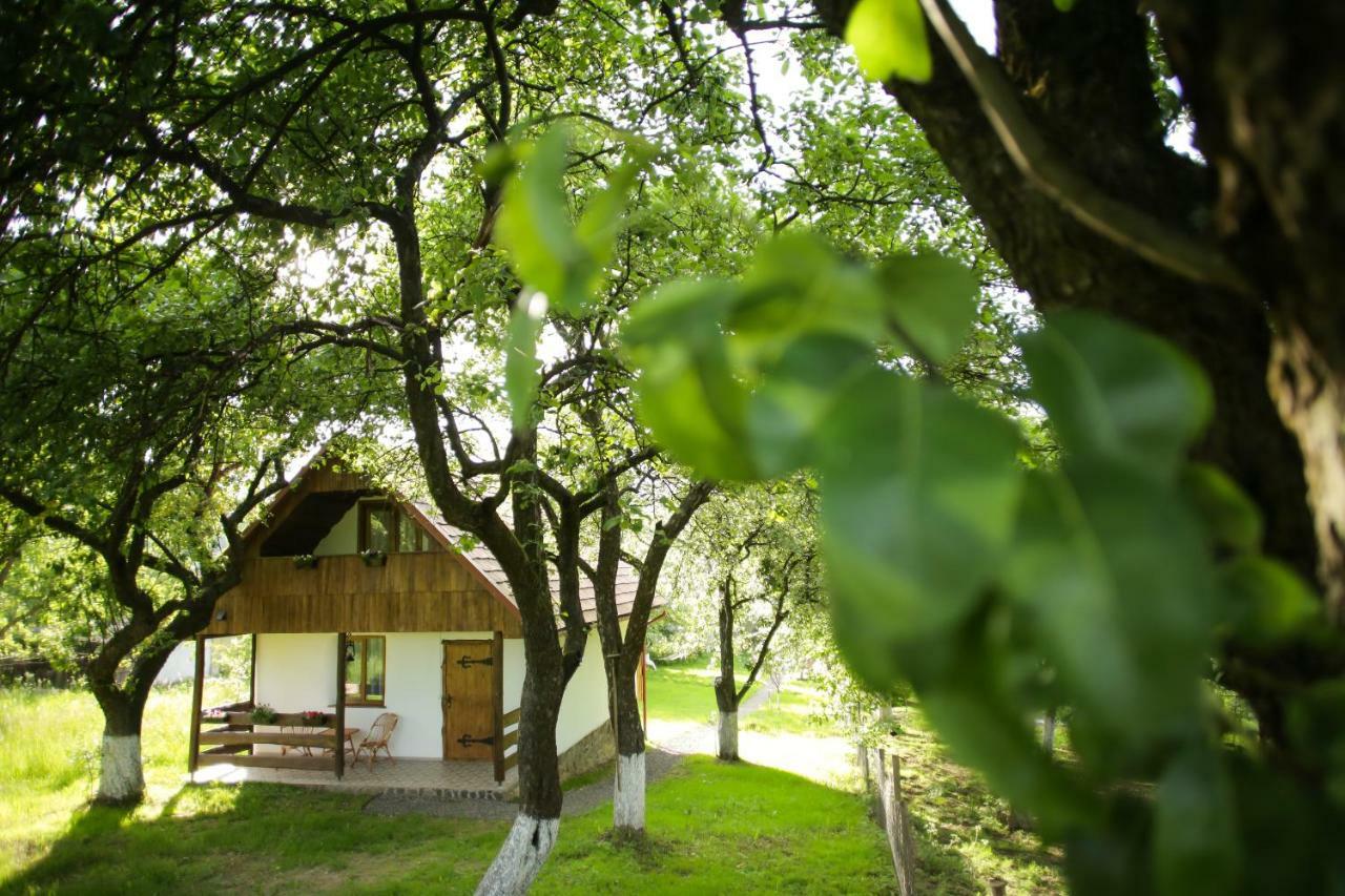 Еко Дім З Соломи Villa Solochin Dış mekan fotoğraf