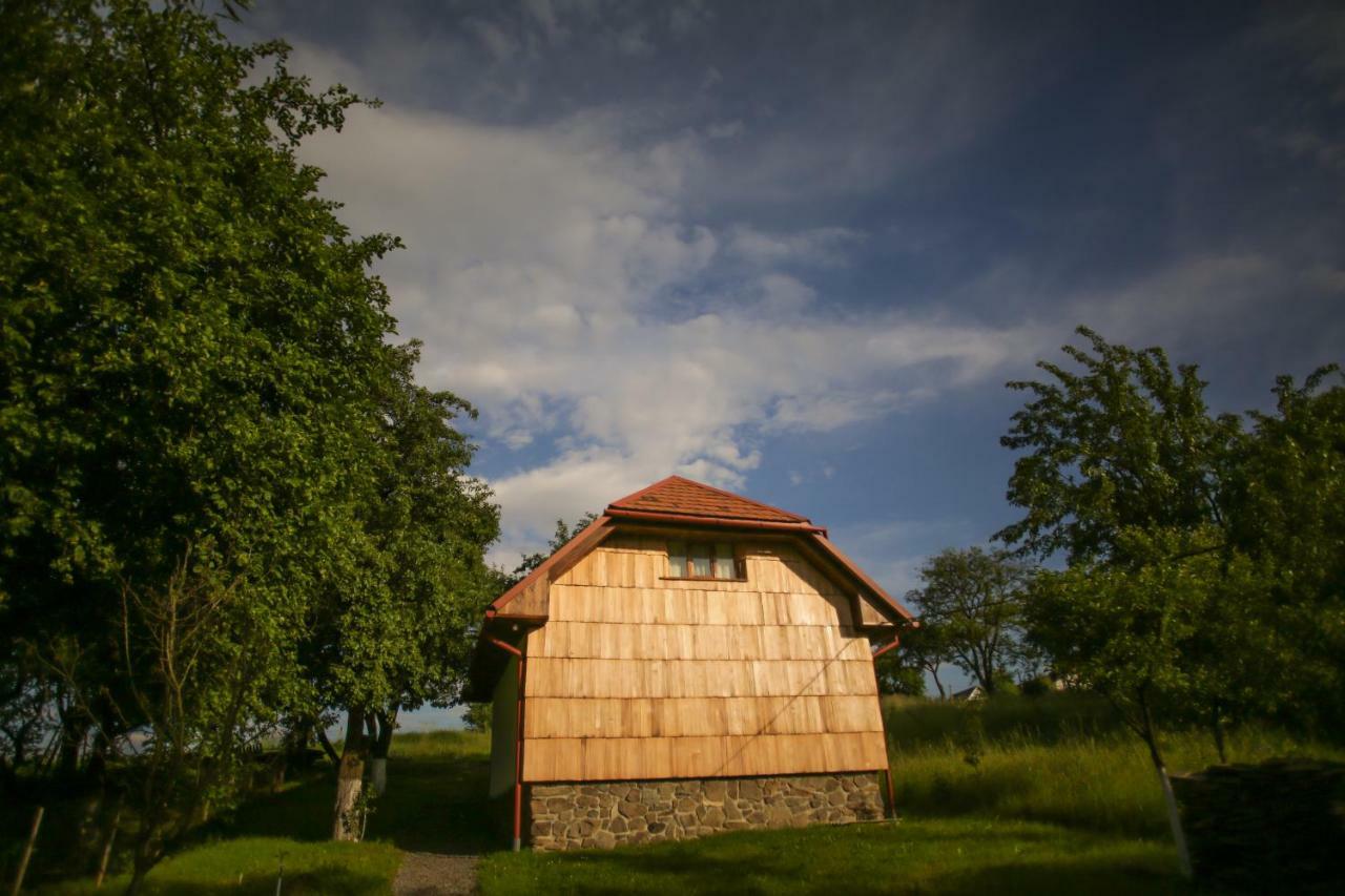 Еко Дім З Соломи Villa Solochin Dış mekan fotoğraf