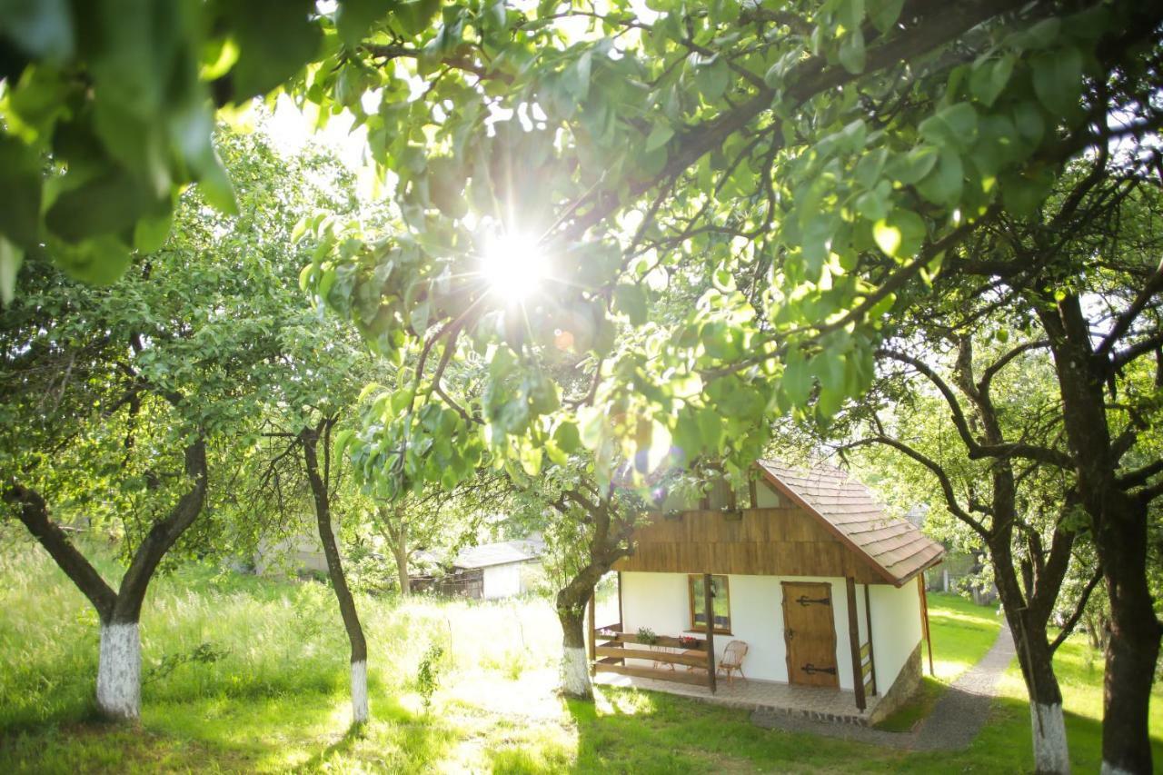 Еко Дім З Соломи Villa Solochin Dış mekan fotoğraf