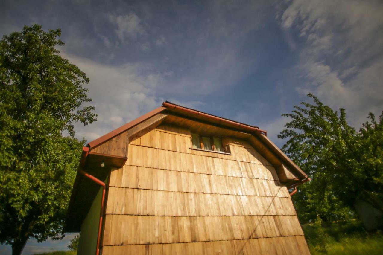 Еко Дім З Соломи Villa Solochin Dış mekan fotoğraf